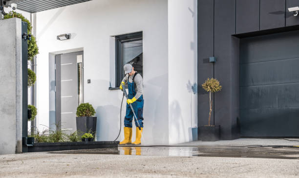 Best Pre-Holiday Cleaning  in Sumiton, AL